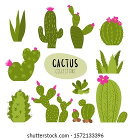 Vector set of painted colorful cute blooming cacti. Flat graphic style. Beautiful design elements. Can be used for postcards, prints. Isolated.