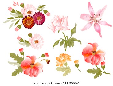 Vector set of painted flowers in watercolor style. Vector watercolor