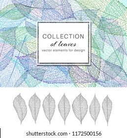 Vector set of painted leaves. Elements for design. Pattern of a congratulatory background.