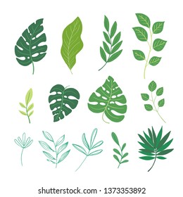 Vector set of  palm, monstera, tropical leaves isolated on white background. Perfect for holiday invitations