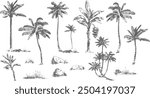 vector set of palm trees in ink traditional drawing realistic style, african trees, pen and pencil drawing, retro 19th century nature botanical drawing