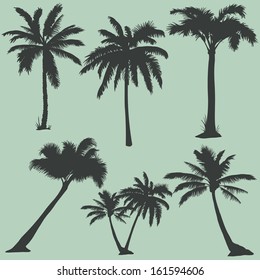 vector set of  palms silhouettes 