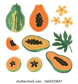 Vector set with papaya and flowers isolated on white background