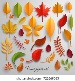 Vector set of paper cut autumn leaves.