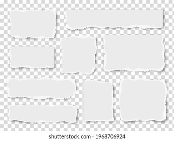 Vector set of paper different shapes scraps isolated on transparent background