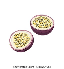 Vector set of passion fruit, passionfruit, maracuya purple colors. Cut pieces on a white background.