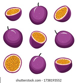 Vector set of passionfruit. Tropical exotic chopped and whole passion fruits. 
Isolated maracuya - Passiflora edulis