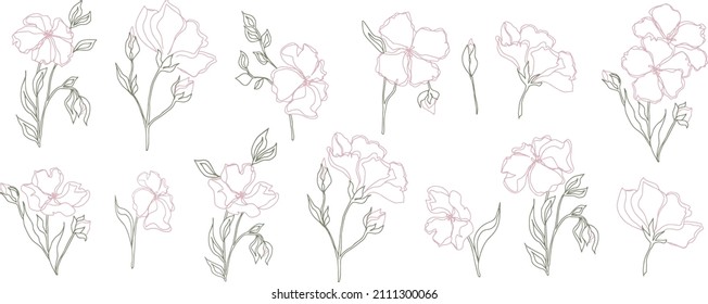 vector set pattern flowers with leaves. Botanical illustration for wallpaper, textile, fabric, clothing, paper, postcards