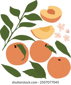 Vector set of peach, leaves and flowers illustration. 70s groovy element collection design for decorative purposes.