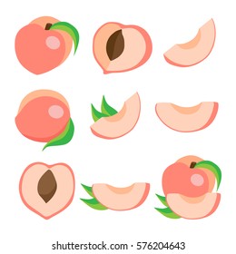 Vector set of peaches. Eco food vector illustration. Ripe  peach slices of isolated on white background.