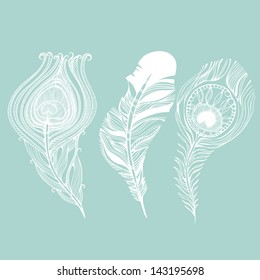 Vector set of peacock and raven feathers.