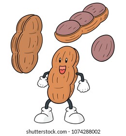 vector set of peanut