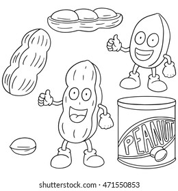 vector set of peanut