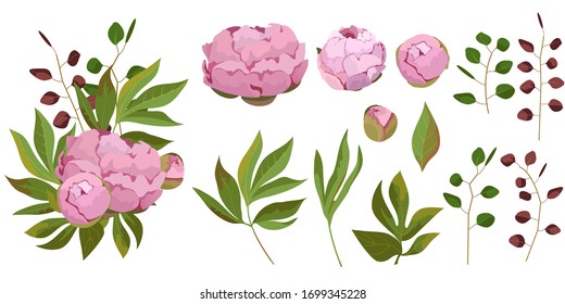 Vektorillustration mit Peronenblättern und Blumen, um eine Blumenarrangements zu schaffen. Bouquet mit rosafarbenen Pfingstrosen für eine Grußkarte.