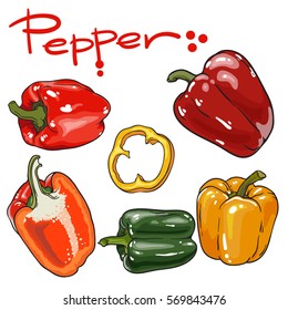 Vector set of pepper. Isolated on white background.