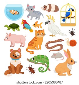 Vector set of pets. Cartoon cute illustrations of dog, cat, parrot, guinea pig and other pets.
