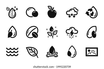 Vector set of Photo, Apple and Soy nut icons simple set. Peas, Dirty water and Snow weather icons. Plants watering, Peanut and Water splash signs. Waves, Leaf dew and Leaf. Vector
