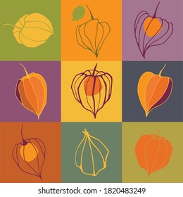 Vector set of physalis. Isolated on color background. 
Illustration for restaurant menu, cosmetics, health care products, wrapping paper, post cards, prints for clothes, and emblems. Flat style.