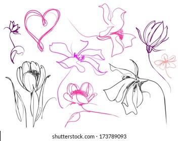 VECTOR set with pictures of flowers for design 