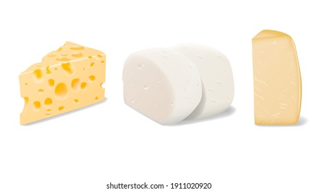 Vector set of pieces of different types of Parmesan, Mozzarella and Swiss cheese close up isolated on white background