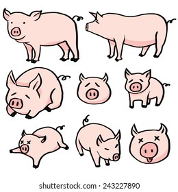 vector set of pig