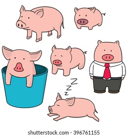 vector set of pig