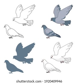 Vector set of pigeons isolated on white background.
