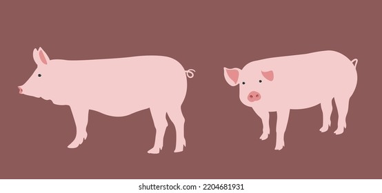 Conjunto vectorial de cerdos. Animal lindo con piel rosa, hocico plano, ilustración vectorial.