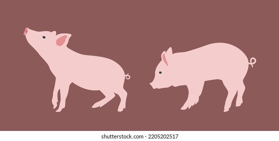 Vector set of pigs. Cute animal with pink skin, flat snout, vector illustration.