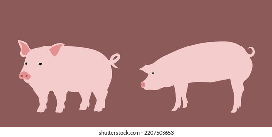 Conjunto vectorial de cerdos. Animal lindo con piel rosa, hocico plano, ilustración vectorial.