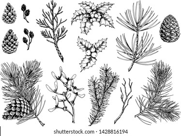 Vector Monochrome Hand Drawn Illustration Aquarium Stock Vector ...