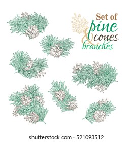 Vector set of pine branches, cones and needles. Outlined design elements for invitation, card, banner isolated on white background. Christmas festive nature illustration.
