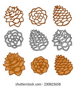 Pine Cones Vector Set. Different Hand Drawn Sketch Styles. Botanical Drawing.  Winter Holidays, Christmas Symbols. Isolated On White Background. Royalty  Free SVG, Cliparts, Vectors, and Stock Illustration. Image 148198232.