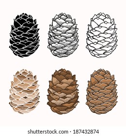  Vector set of pine cones on a white background