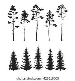 Vector set with pine trees isolated on white background.