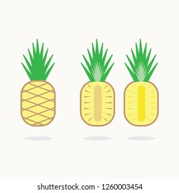 Vector set of Pineapple, Flat Style