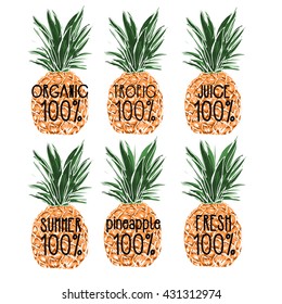 vector set of pineapple icons