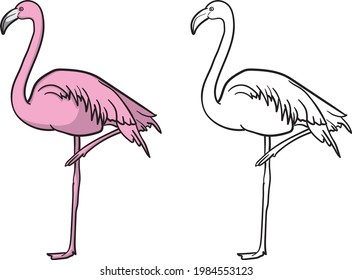 Vector set of pink cartoon flamingos. Cute flamingo collection. Exotic animal flamingo, fauna liar nature illustration