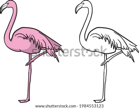 Vector set of pink cartoon flamingos. Cute flamingo collection. Exotic animal flamingo, fauna liar nature illustration