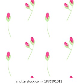 vector set of pink chamomile flowers with green leaves on white background summer spring autumn seamless pattern
