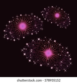 Vector Set of Pink Fireworks Isolated on Black Background