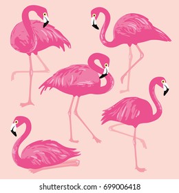 Vector set with pink flamingos. Hand Drawn illustration