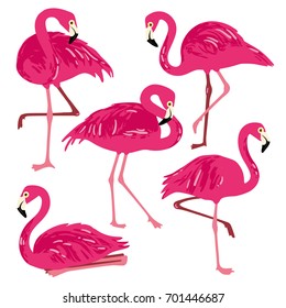 Vector set with pink flamingos. Hand Drawn illustration