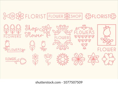 Vector set of pink natural elements leaves and flowers . Simple linear ornaments for decoration of promo poster, flyer or banner of florist shop