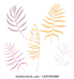 Vector set of pink and orange tropical leaves of palm trees on a white background. Vector grunge leaves. Tropical illustration. Jungle foliage. Cool floral wallpaper
