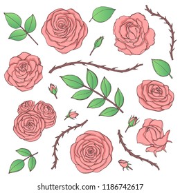 Vector set of pink rose flowers with buds, leaves and thorny stems line art isolated on the white background. Hand drawn floral collection of vintage blossoms in sketch style.