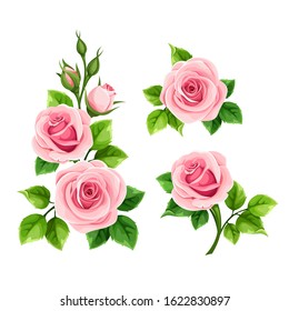 Vector set of pink roses isolated on a white background.