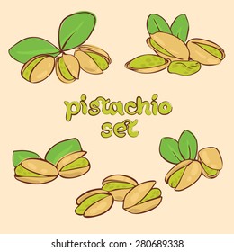 vector set of pistachio nuts in different forms