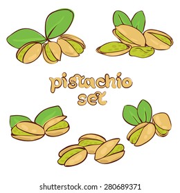 vector set of pistachio nuts in different forms