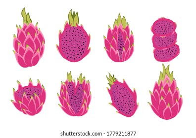Vector set of pitaya fruits. Isolated pink dragon fruit. Tropical exotic chopped and whole fruits